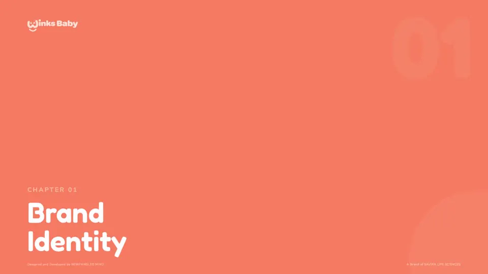 Chapter 01: Brand Identity